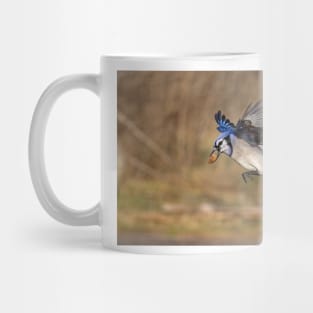 Have nut - Will travel - Blue Jay Mug